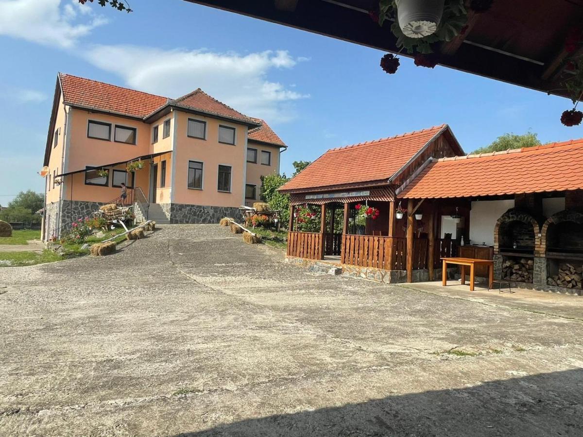 Pensiunea Ducu Scoreiu Exterior photo